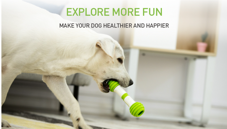 PETGEEK
