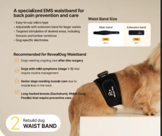 Rebuild Dog EMS Muscle Strengthening and Pain Management for Dogs(Lumbar, Spine, Joint Massage)