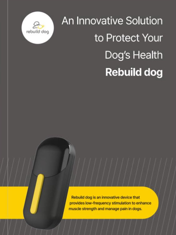 Rebuild Dog EMS Muscle Strengthening and Pain Management for Dogs(Lumbar, Spine, Joint Massage)