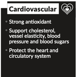 Kiwivital: OliveBoost Herbal Therapy for Pets 80g/150g (Strengthens Immune, Heart, Anti-diabetic, Reduce Fungal/Yeast)