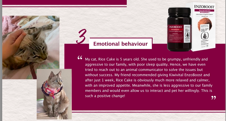 Kiwivital - ENZOBOOST Herbal Supplement for Pets (With Pine Bark Extract Powder) 120g - Aids in separation anxiety, IVDD