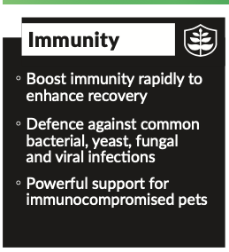 Kiwivital: OliveBoost Herbal Therapy for Pets 80g/150g (Strengthens Immune, Heart, Anti-diabetic, Reduce Fungal/Yeast)
