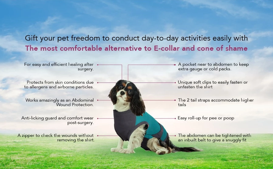 Maxx Recovery Suit for Pets (E-collar alternative, for post-operation/surgery care)