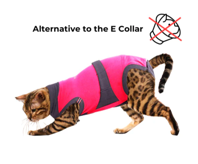 Maxx Recovery Suit for Pets (E-collar alternative, for post-operation/surgery care)