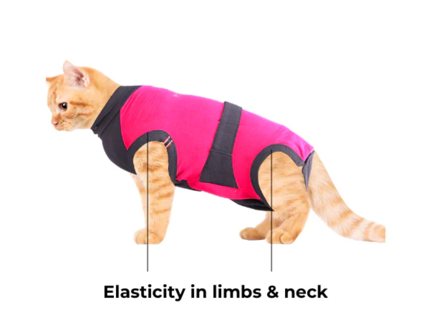 Maxx Recovery Suit for Pets (E-collar alternative, for post-operation/surgery care)