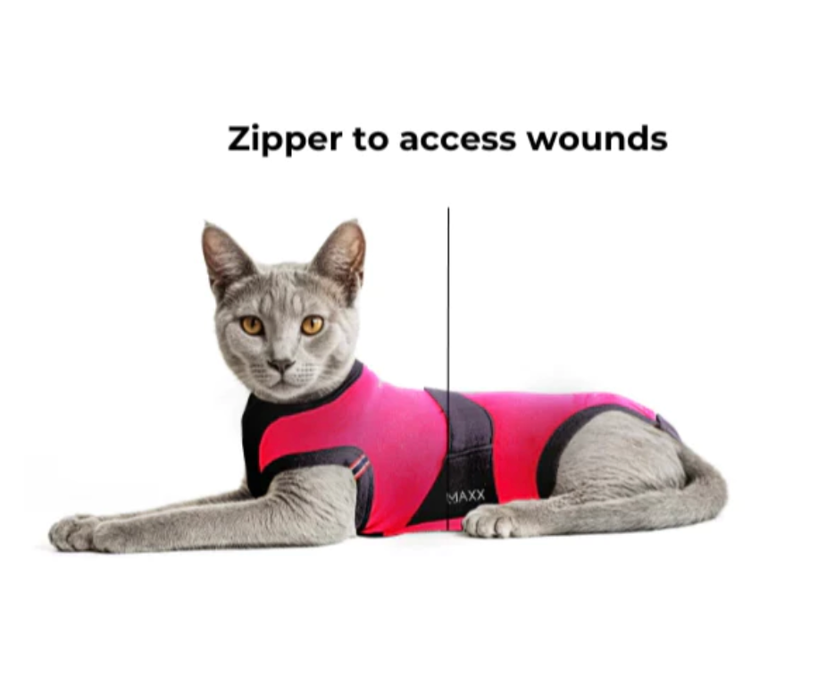 Maxx Recovery Suit for Pets (E-collar alternative, for post-operation/surgery care)
