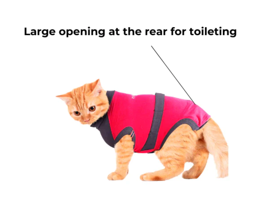 Maxx Recovery Suit for Pets (E-collar alternative, for post-operation/surgery care)