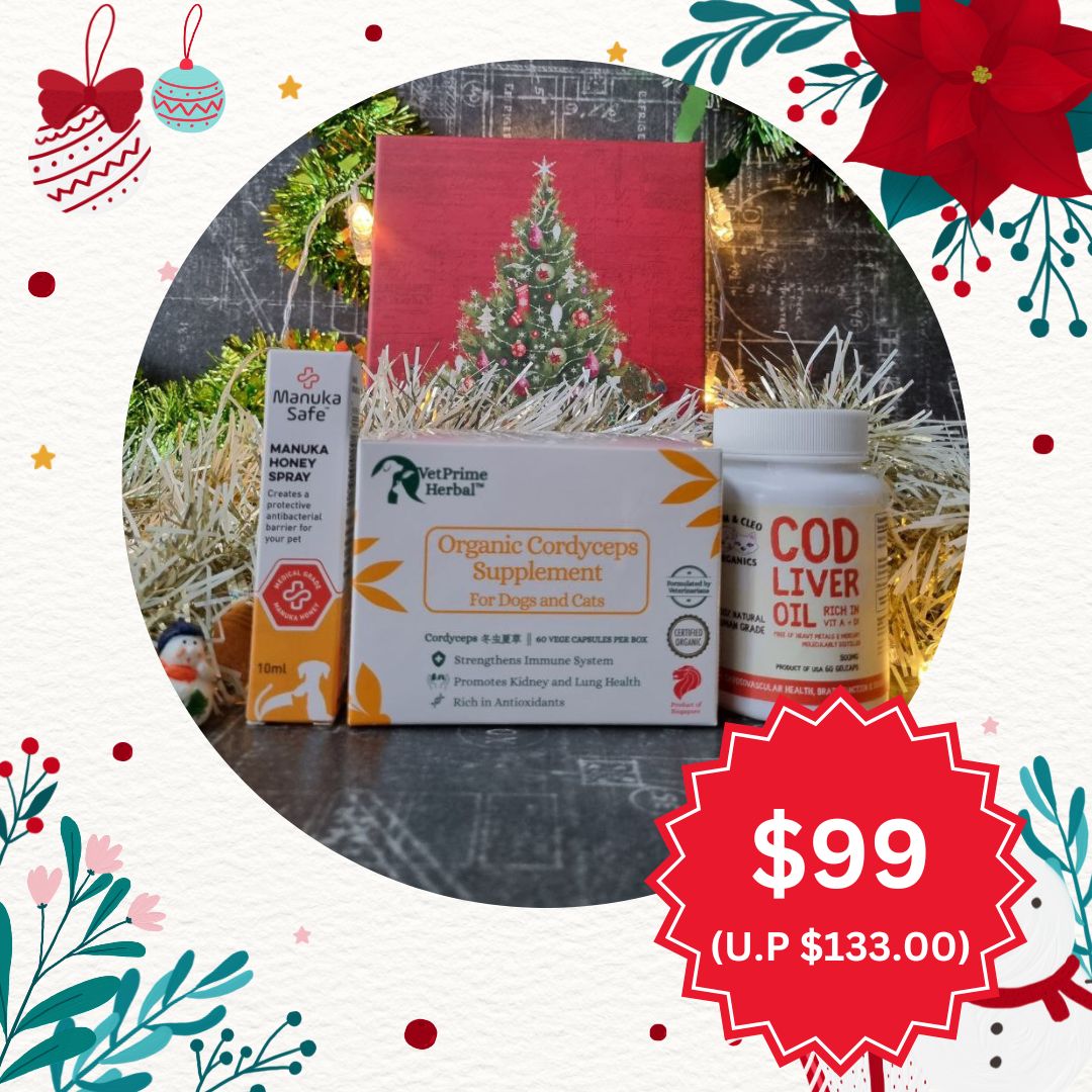 Christmas Box A