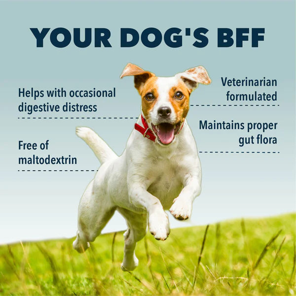 Four Leaf Rover: Bifido Fifo For Fido - Multi-Strain Probiotics with Organic Prebiotics (50.1g/1.76oz)