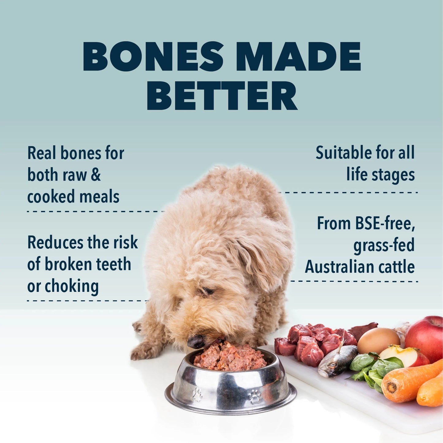 Four Leaf Rover - BETTER BONES - DRIED BONE FOR HOMEMADE DIETS (8.04oz/240g)