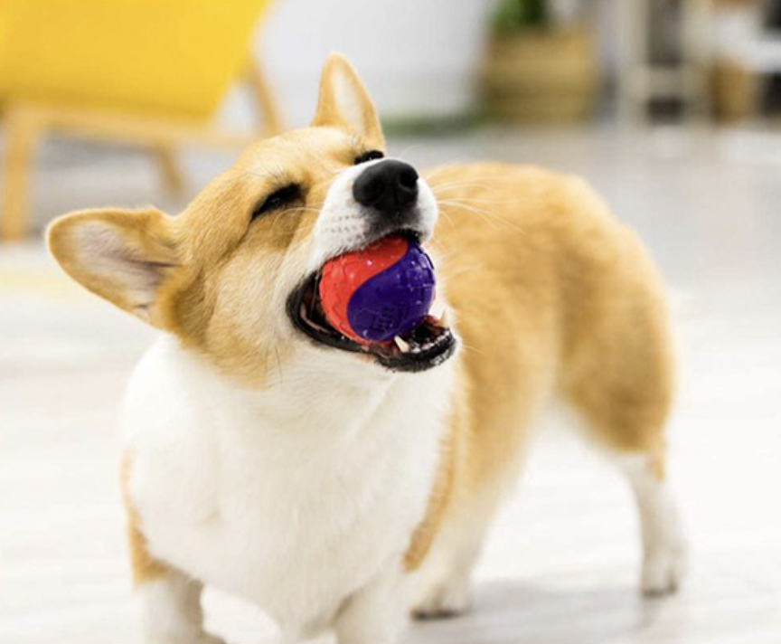 GiGwi Ball Series: Bouncy, Interactive, Durable Toy Dog Balls (Colour given at random unless indicated in remarks)