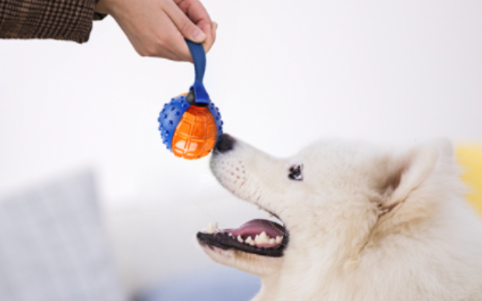 GiGwi Push to Mute Series: Regular Ball, Dumbbell
