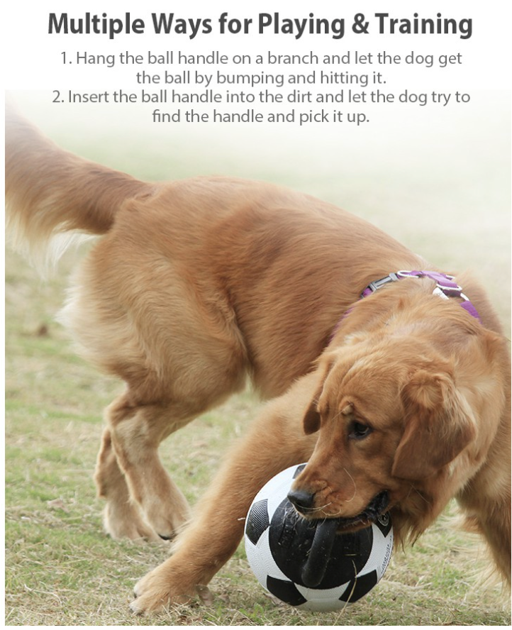 GiGwi Pet toys (Rolling Bell, Jumball, Owl)
