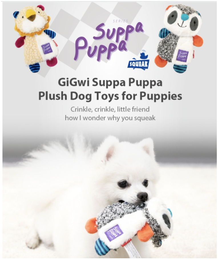 Gigwi Suppa Puppa Series: Cute, Squeaky toy for dog