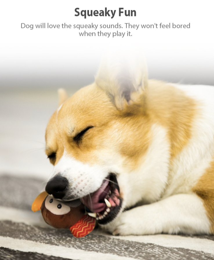 GiGwi Plush Friendz: Squeaky Plush Dog Toy