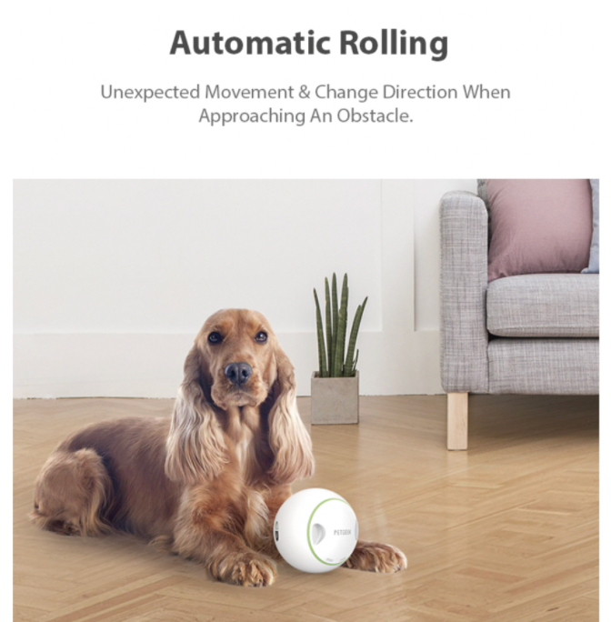 PETGEEK: Innovative Smart Pet Toys - Foodie Orb