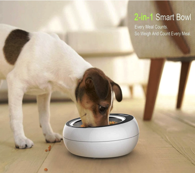 PETGEEK: 2-in-1 Smart Bowl