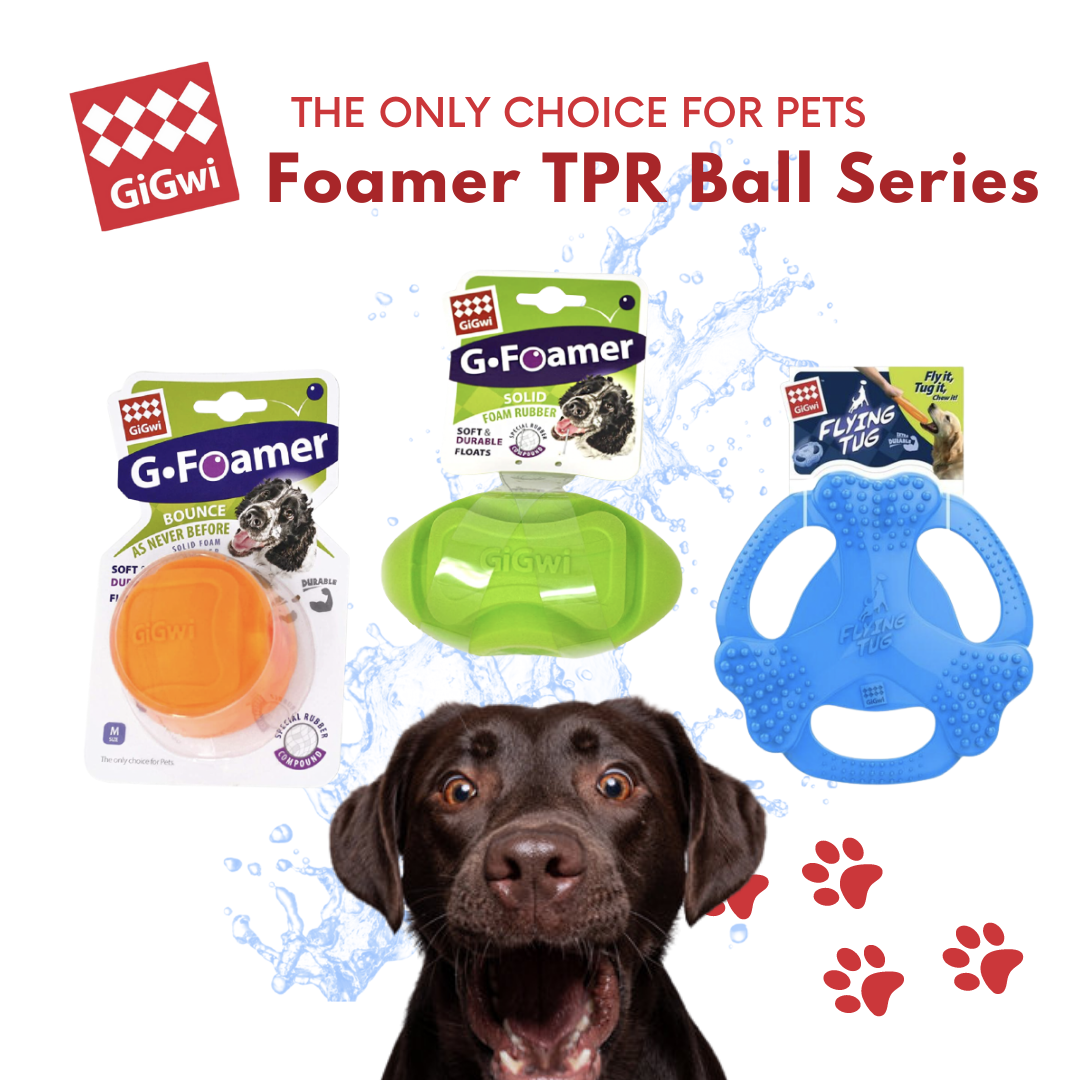 GIgwi Foamer TPR Ball Series: Ball, Rugby, Tug