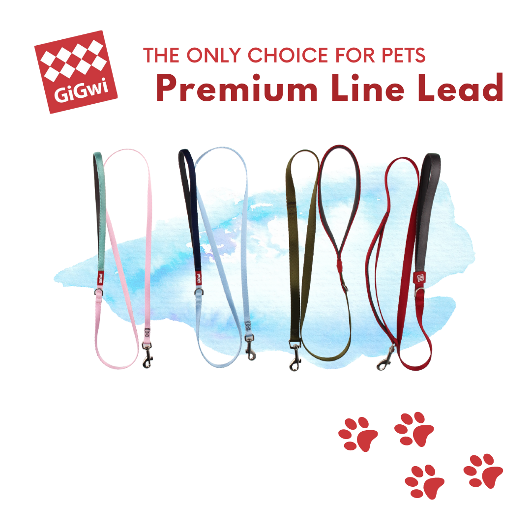 GiGwi Premium Lead: Leashes for Pets