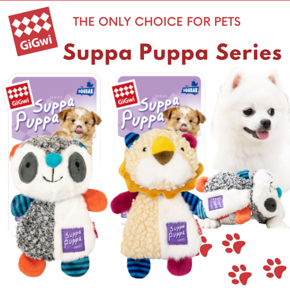 Gigwi Suppa Puppa Series: Cute, Squeaky toy for dog