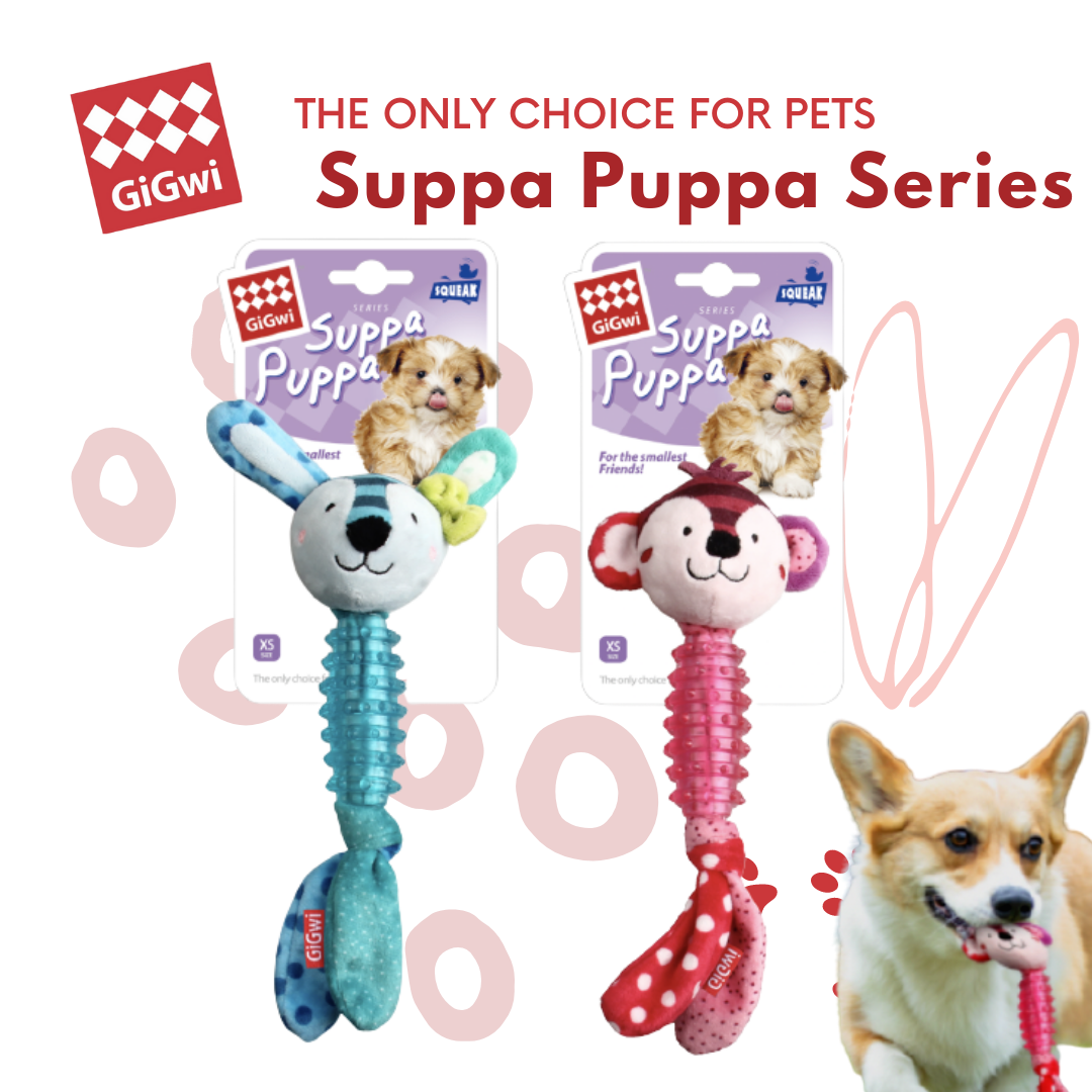 GiGwi Suppa Puppa Series (Tug): Rabbit, Monkey