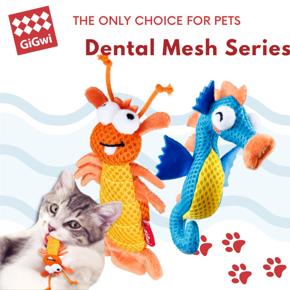 GiGwi Dental Mesh Series: Interactive, chewing catnip cat toy