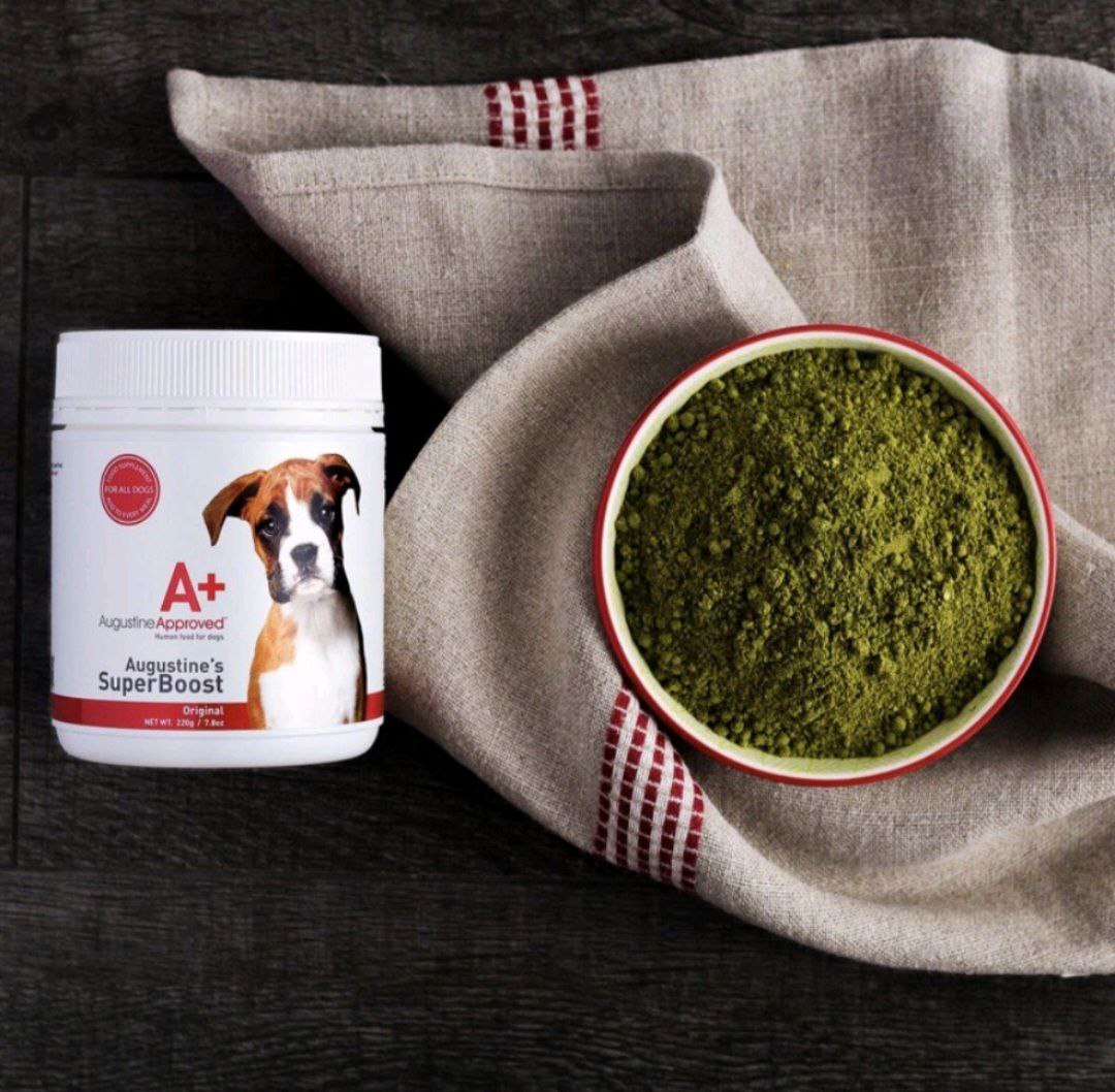 Augustine Approved Superboost for Dogs and Cats (4 Sizes)