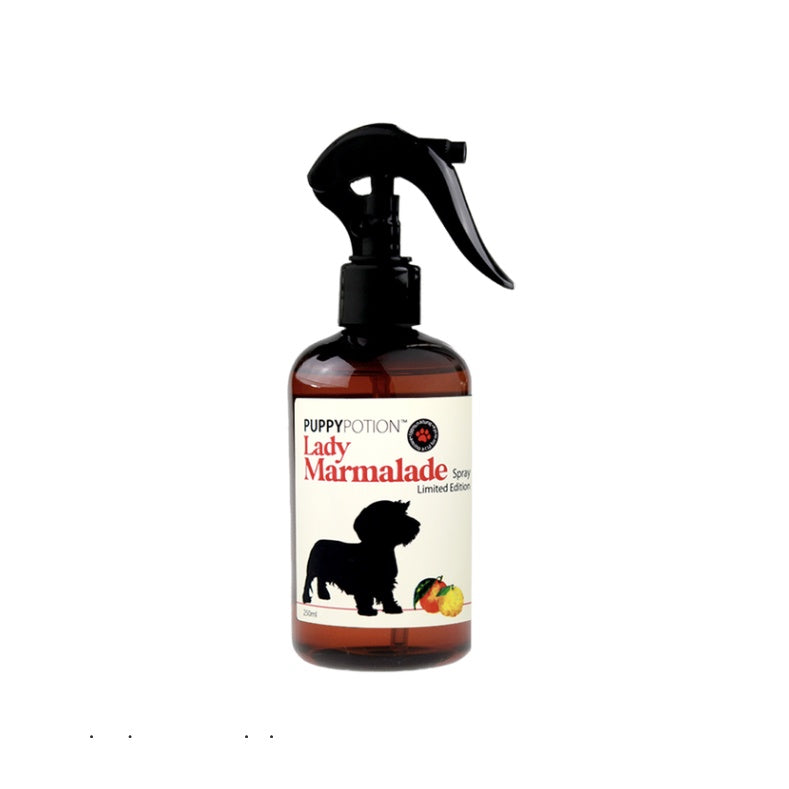 Doggypotion Conditioning Spray — Multi-Scent Grooming Spray for Dogs (250ml)