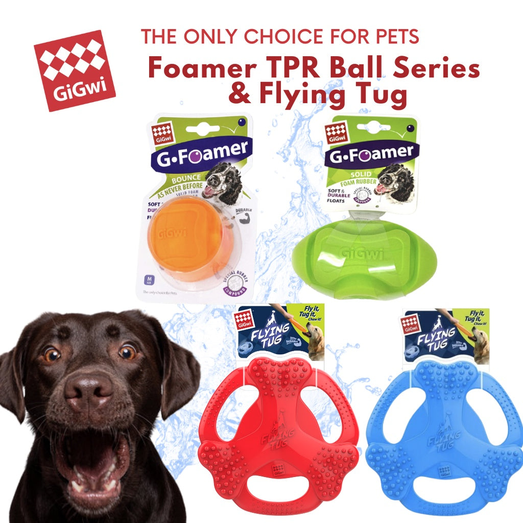 GiGwi G-Foamer TPR Dog Toy Series — Ball, Rugby & Flying Tug