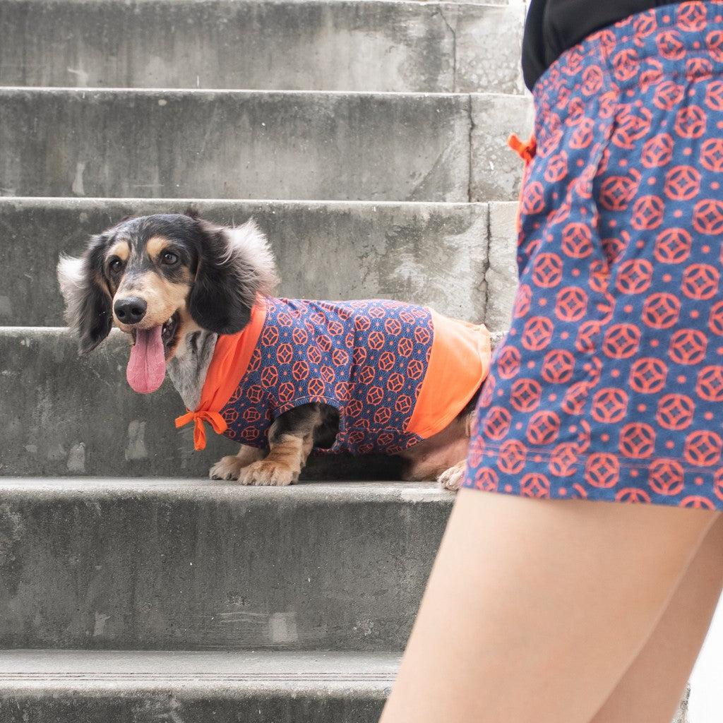 Ohpopdog Matching Human Shorts for Pet Owners — Baba Navy Heritage Print (S, M, L)