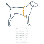 Ruffwear Float Coat Dog Life Jacket — Lightweight PVC-Free Foam (XXS-XL)