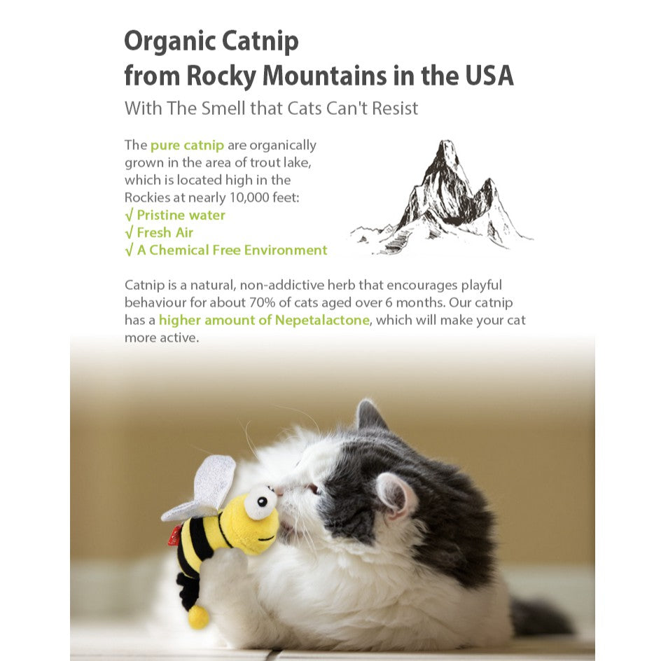 GiGwi Catnip Series — Interactive Electric Simulation Bee & Caterpillar for Cats