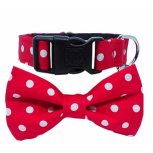 Dharf Bow Tie Collar Set — Red Polka Dot (2-Piece Set)