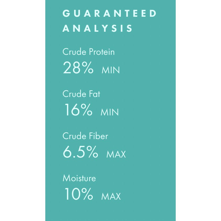 Fromm Family Pet Food Four-Star Salmon Tunalini — Grain-Free Dry Dog Food (4lb)