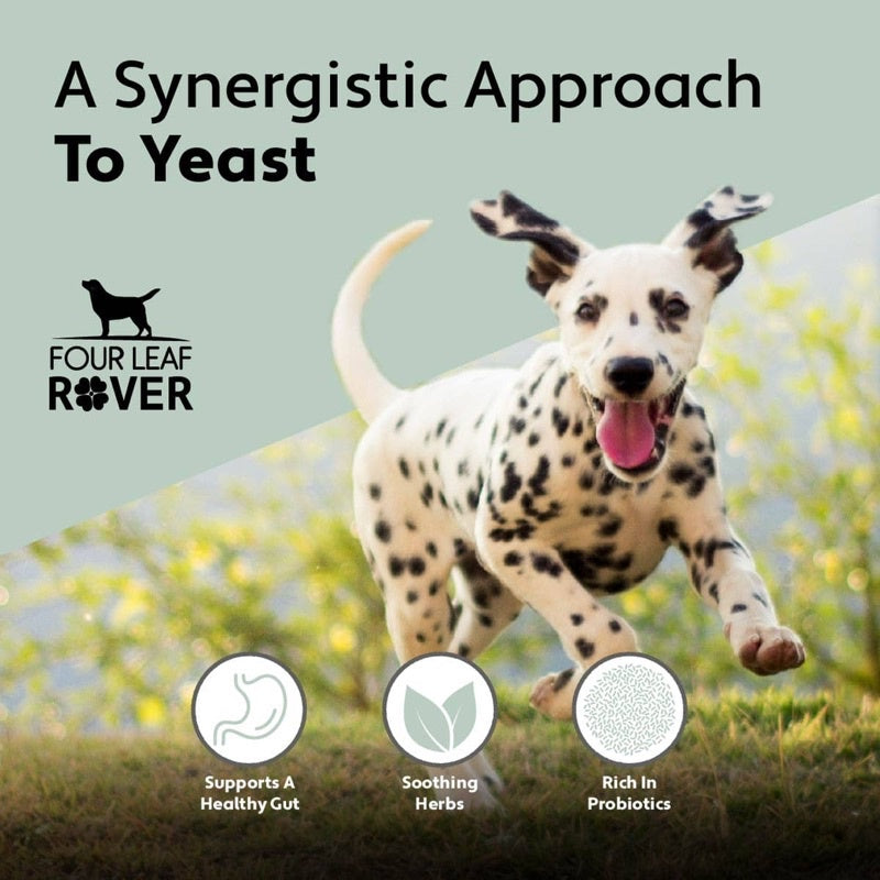 Four Leaf Rover Yeast-Free Fido — Yeast Support Bundle for Dogs