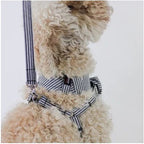 Dharf Dog Harness — Cotton & Bamboo Fiber with Detachable Bow-Tie (Size S)