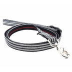 Dharf Dog Leash — Premium Cotton Webbing with Metal Hardware (85–140cm)