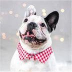Dharf Dog Shirt Collar Set — Red Check Pattern (Size XS, S, M)