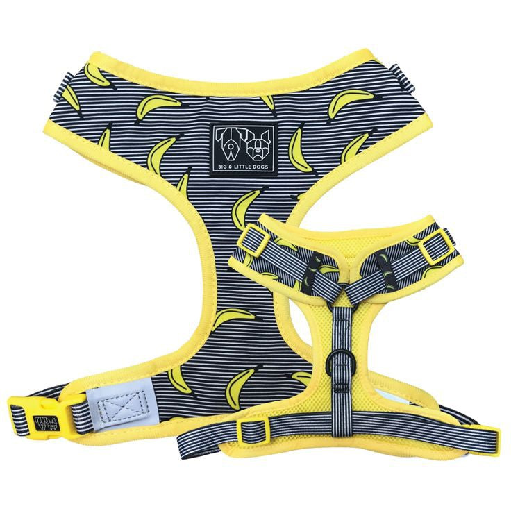 Big & Little Dogs Adjustable Dog Harness — Custom Neoprene with Easter Print (Size XS-XL)