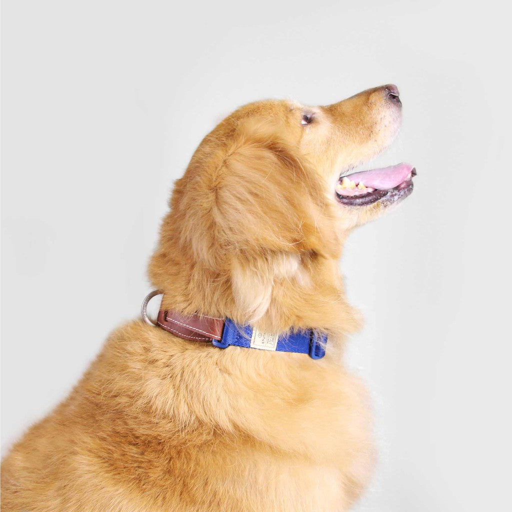 SPUTNIK Dog Collar — Handcrafted Nylon & Genuine Leather (S/M/L)