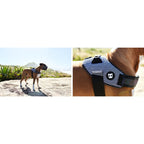 Zee.Dog FlyHarness — Ultra-Lightweight Reflective Dog Harness (5 Sizes)