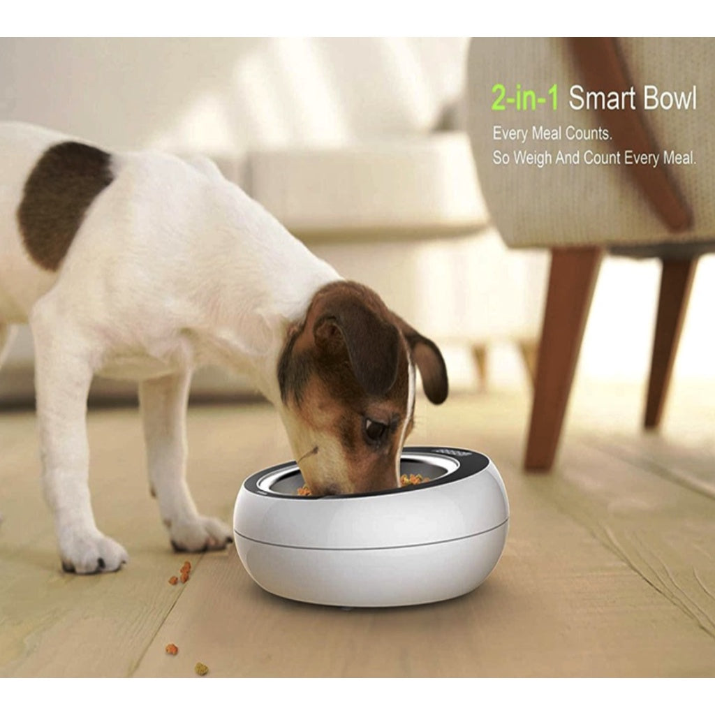 PetGeek 2-in-1 Smart Bowl — Portion Control & Slow Feeder for Dogs & Cats