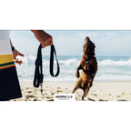 Zee Dog NeoPro Weatherproof Dog Leash — Rubber Overlay, Screw Lock Hook (XS-L)