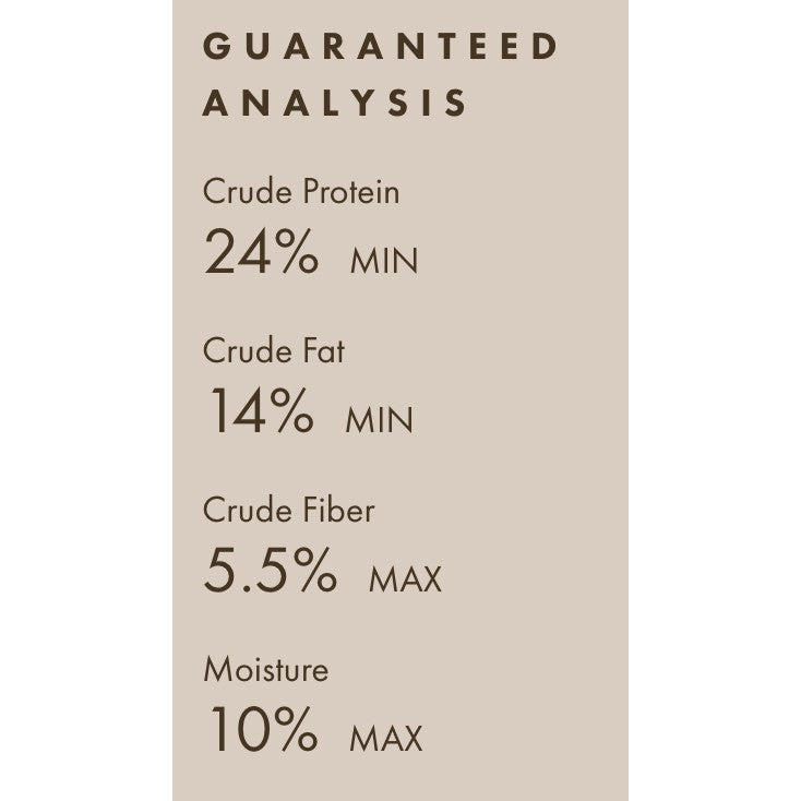 Fromm Four-Star Pork & Applesauce Recipe Dry Dog Food (4lb)