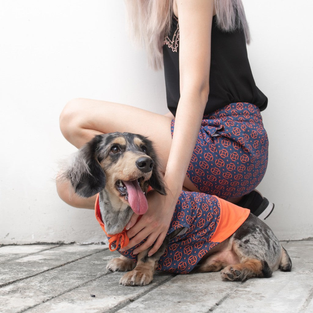 Ohpopdog Matching Human Shorts for Pet Owners — Baba Navy Heritage Print (S, M, L)