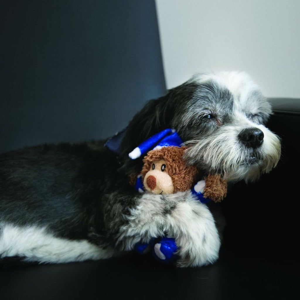 KONG Comfort Snuggles Plush Toy — Green Checks with Squeaker (Sizes S & L)