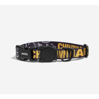 Zee.Dog x Chinatown Market Dog Collar — Limited Edition Polyester (S/M/L)