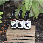 Doggypotion Conditioning Spray — Multi-Scent Grooming Spray for Dogs (250ml)