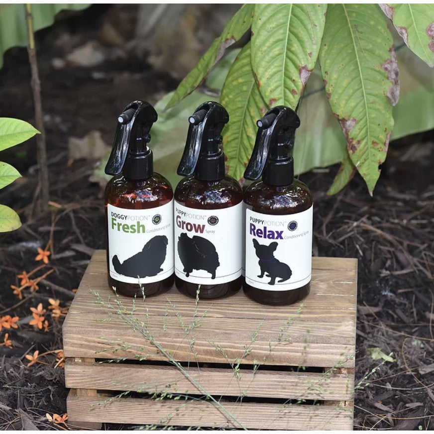 Doggypotion Conditioning Spray — Multi-Scent Grooming Spray for Dogs (250ml)