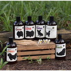 Doggypotion Shampoo 500ml — Natural Soothing Scents for Dogs & Cats